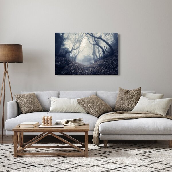 Obraz - Les v hmle (90x60 cm)