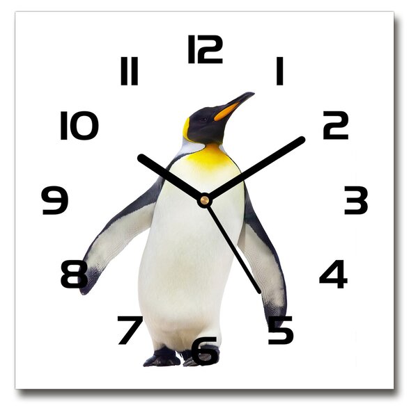 Sklenené nástenné hodiny štvorec Tučniak
