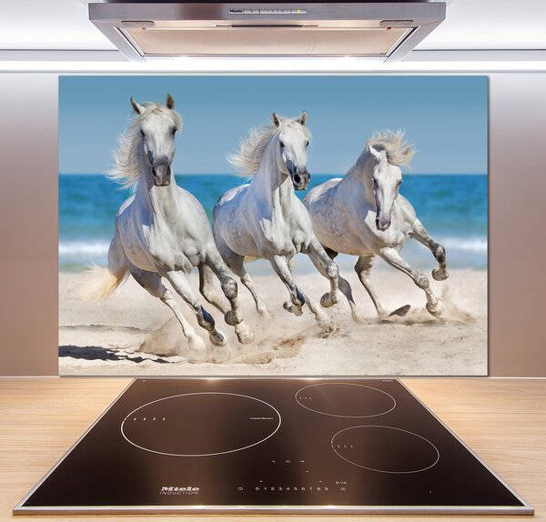 Panel do kuchyne Biele kone pláž pl-pksh-100x70-f-95257914