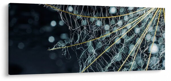 Obraz -Kvet s pavučinou (120x50 cm)