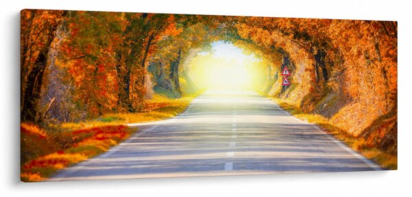 Obraz - Brána z korún stromov (120x50 cm)
