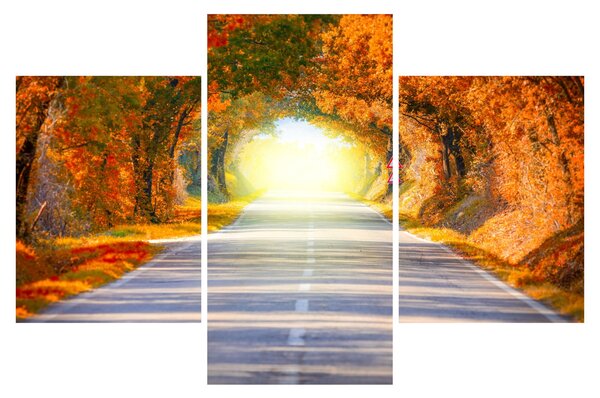 Obraz - Brána z korún stromov (90x60 cm)