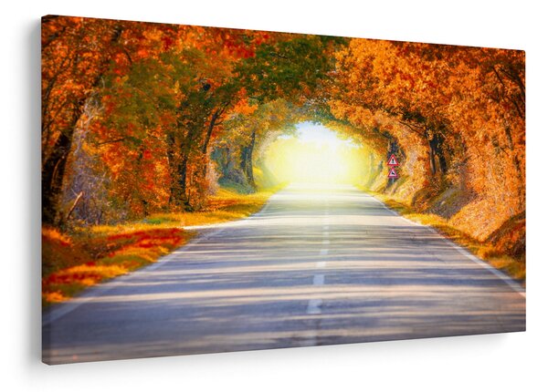 Obraz - Brána z korún stromov (90x60 cm)