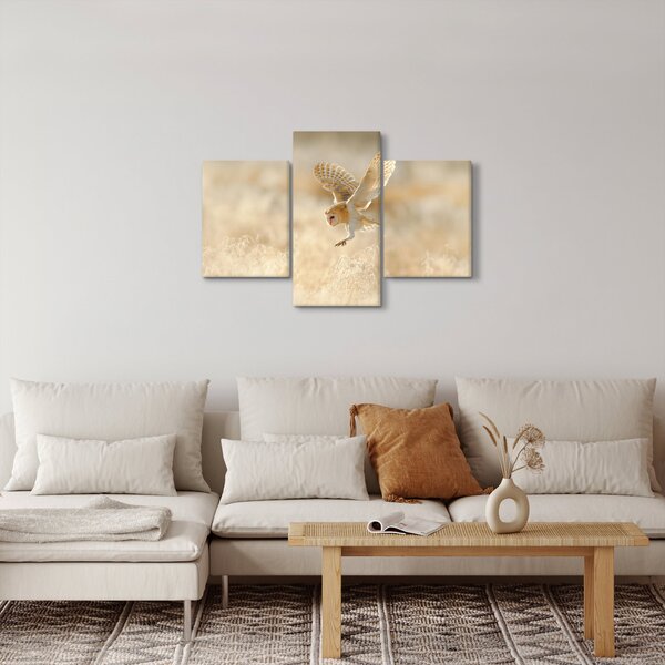Obraz - Sova pálená (90x60 cm)