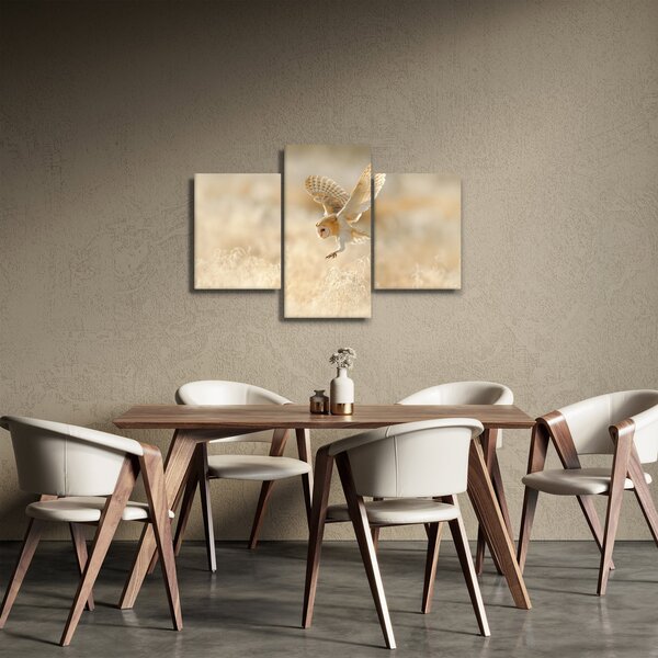 Obraz - Sova pálená (90x60 cm)