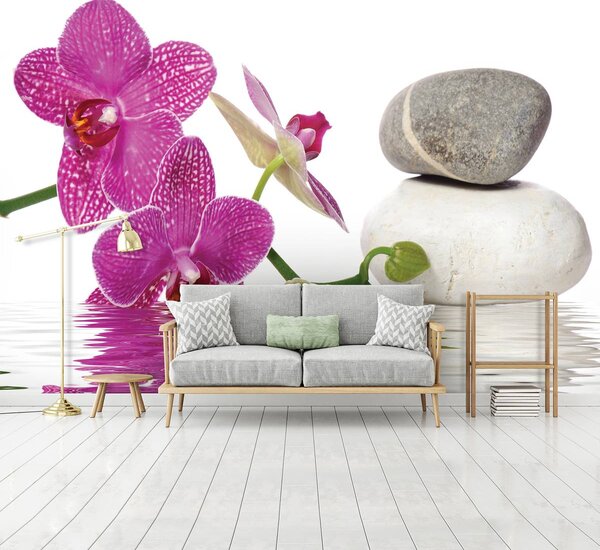 Fototapeta - Orchidey (152,5x104 cm)