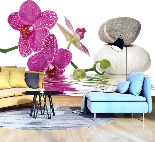 Fototapeta - Orchidey (152,5x104 cm)