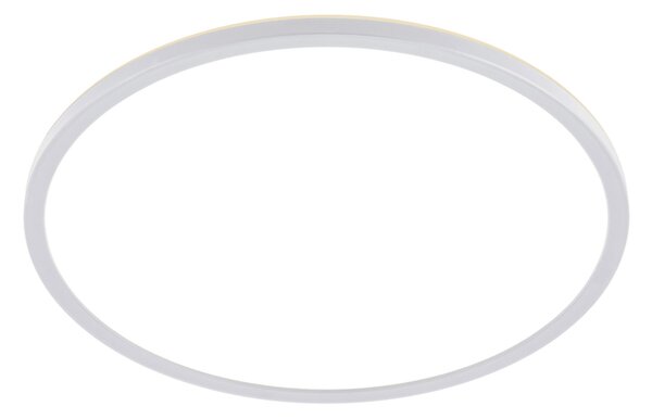 STROPNÉ LED SVIETIDLO, 42/2,9 cm Novel - Interiérové svietidlá