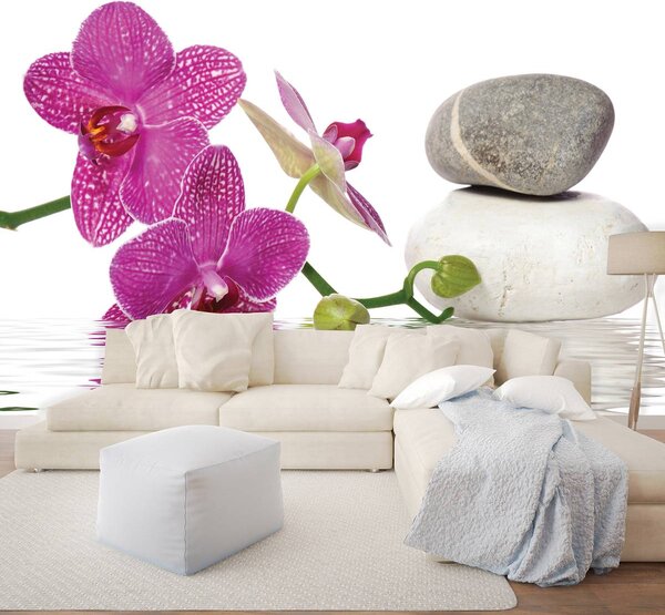 Fototapeta - Orchidey (152,5x104 cm)
