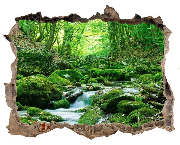 Nálepka fototapeta 3D výhled Potok v lese nd-k-66843230