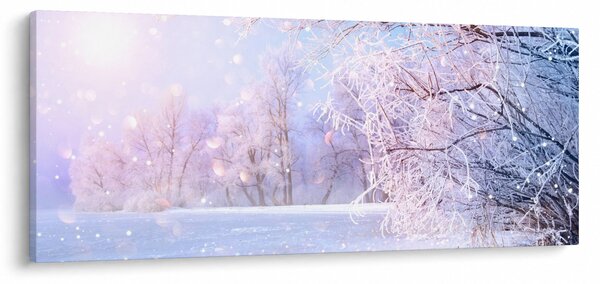 Obraz - Mrazivá zima (120x50 cm)