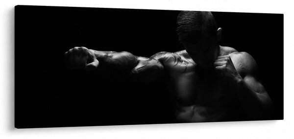Obraz - Úder päsťou (120x50 cm)