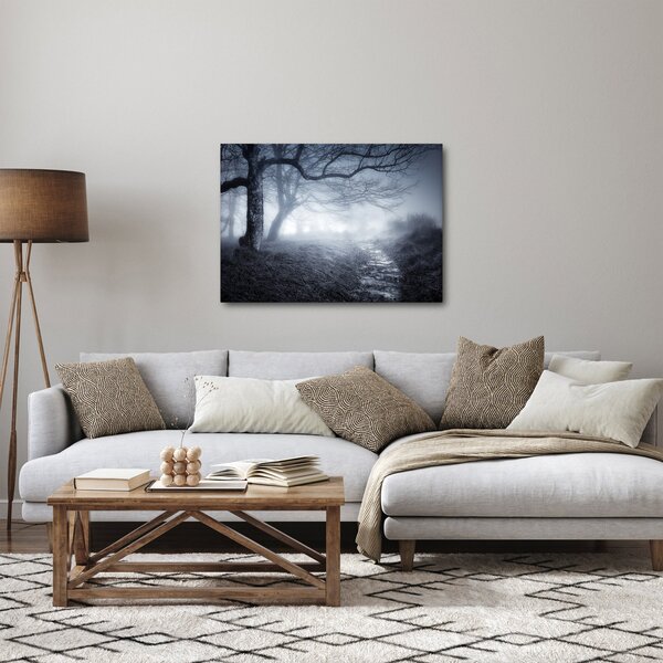 Obraz - Cesta v hmle (70x50 cm)