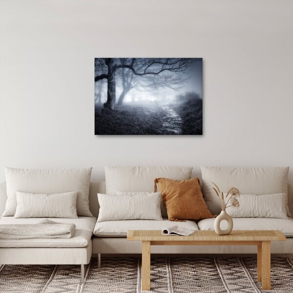 Obraz - Cesta v hmle (70x50 cm)
