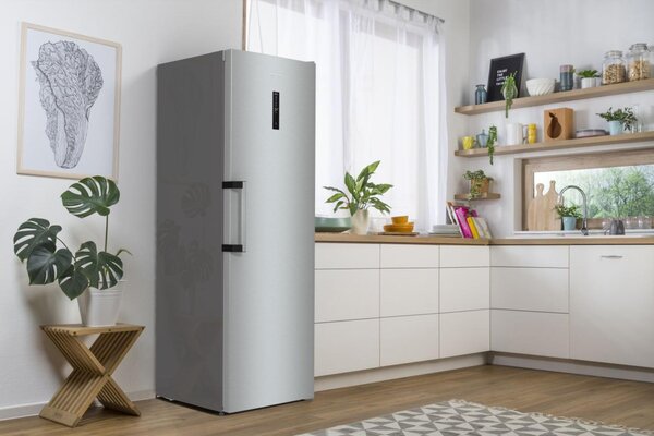 Gorenje R619DAXL6 - Jednodverová chladnička
