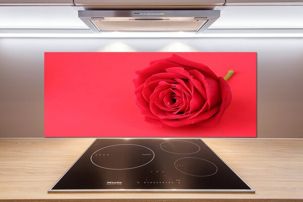 Panel do kuchyne Červená ruža pl-pksh-125x50-f-77656963