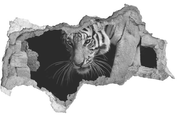 Diera 3D foto tapeta nálepka Tiger nd-b-89533463