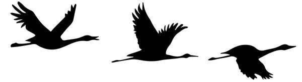 ASIR Nástenná dekorácia kovová MALLARD