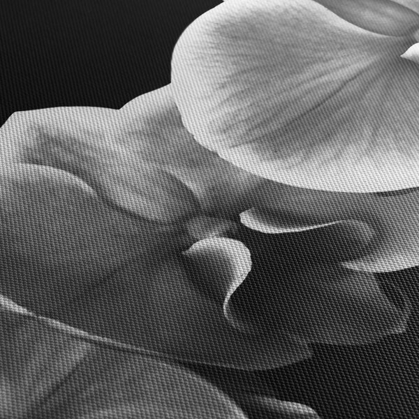 Obraz kvetu orchidey (s hodinami) (90x30 cm)