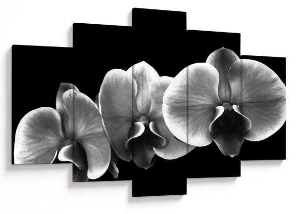Obraz kvetu orchidey (150x105 cm)