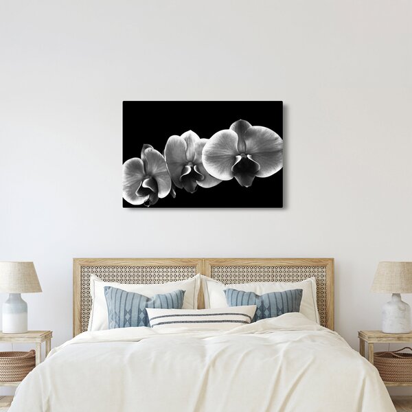 Obraz kvetu orchidey (90x60 cm)