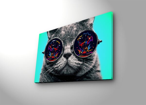 ASIR Nástenný obraz s LED osvetlením CAT