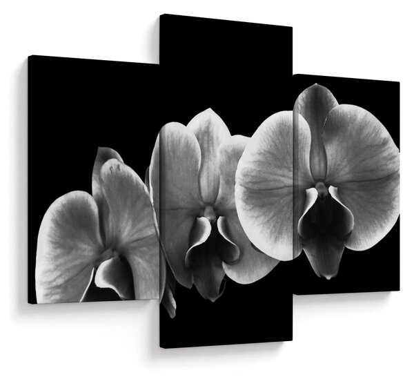 Obraz kvetu orchidey (90x60 cm)