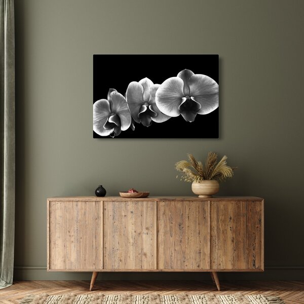 Obraz kvetu orchidey (90x60 cm)