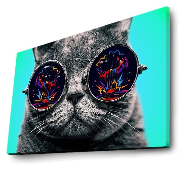 ASIR Nástenný obraz s LED osvetlením CAT