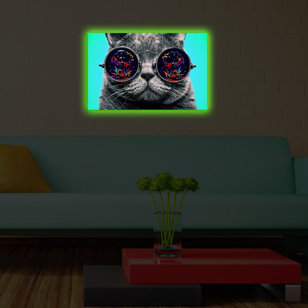 ASIR Nástenný obraz s LED osvetlením CAT