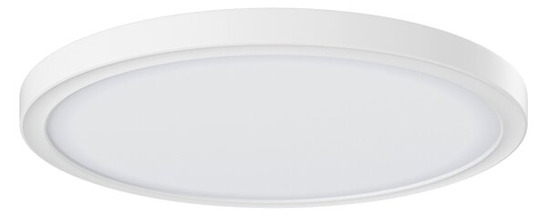 STROPNÉ LED SVIETIDLO, 29,3/2,8 cm Novel - Interiérové svietidlá