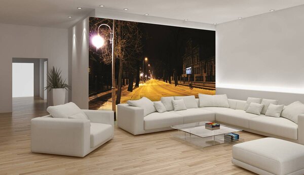 Fototapeta - Mesto (152,5x104 cm)