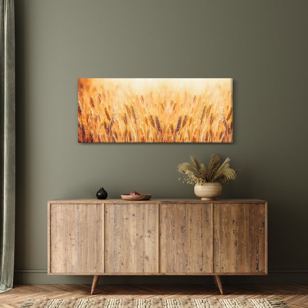 Obraz - pole s obilím (120x50 cm)