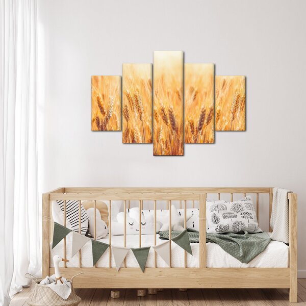 Obraz - pole s obilím (150x105 cm)