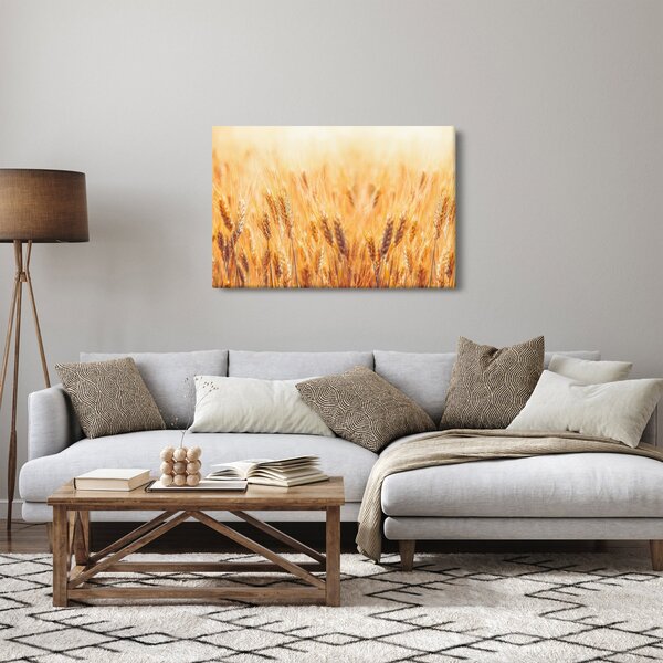 Obraz - pole s obilím (90x60 cm)