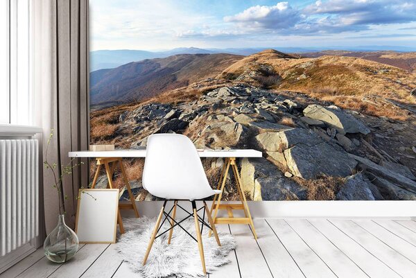 Fototapeta - Pohorie Bieszczady (152,5x104 cm)