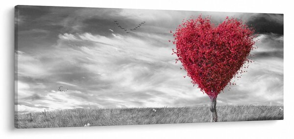 Obraz - Srdce korunou stromu (120x50 cm)