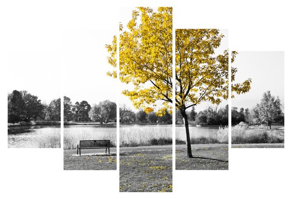 Obraz - Odpočinok v parku (150x105 cm)