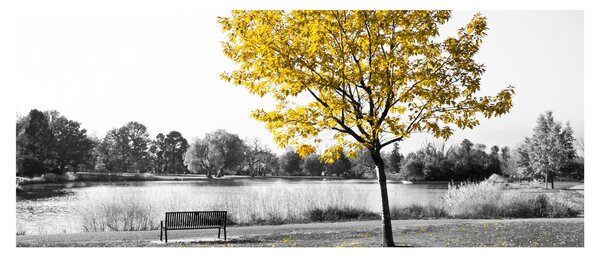 Obraz - Odpočinok v parku (120x50 cm)