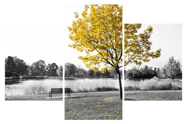 Obraz - Odpočinok v parku (90x60 cm)
