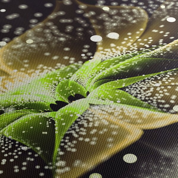 Obraz - Detail kvetu (120x50 cm)