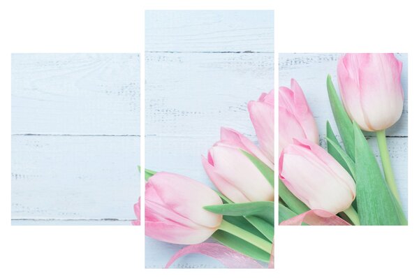 Obraz - Kytica tulipánov (90x60 cm)