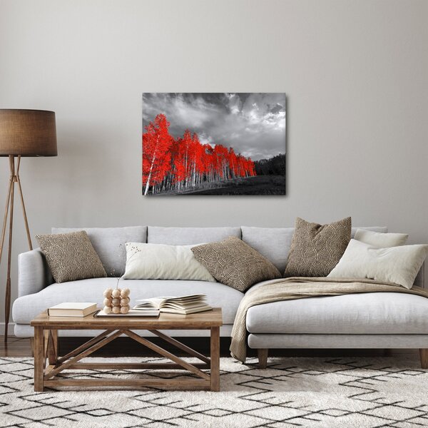 Obraz - Stromy vo farbe jesene (70x50 cm)