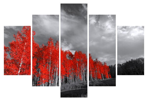 Obraz - Stromy vo farbe jesene (150x105 cm)