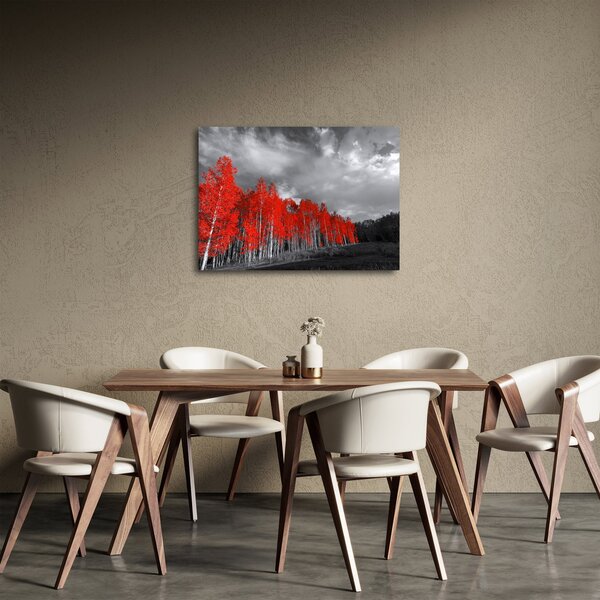 Obraz - Stromy vo farbe jesene (70x50 cm)