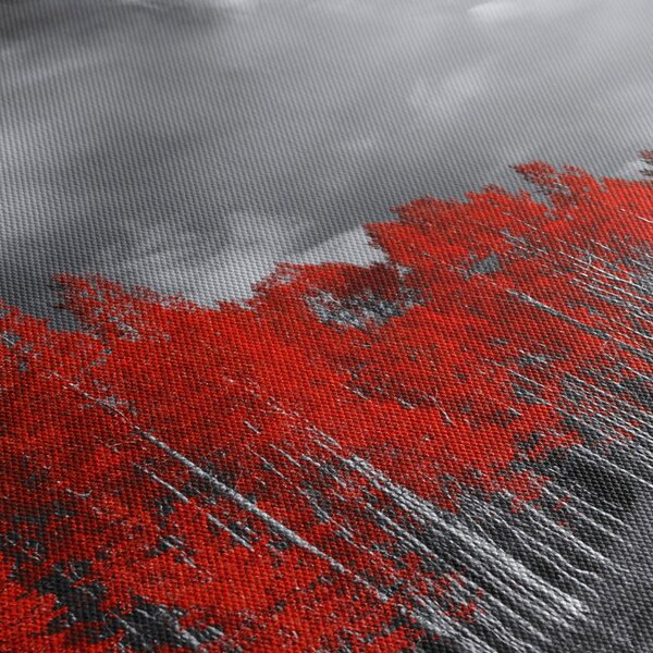 Obraz - Stromy vo farbe jesene (120x50 cm)