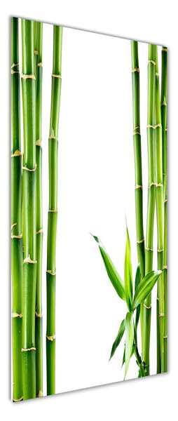 Moderní skleněný obraz z fotografie Bambus