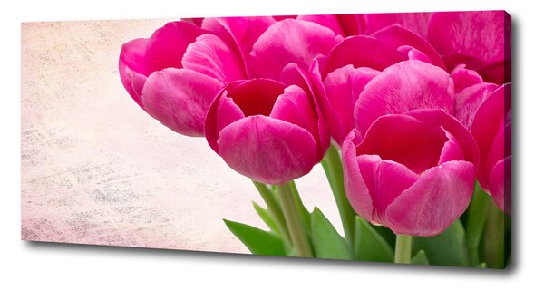 Moderný obraz canvas na ráme Ružové tulipány