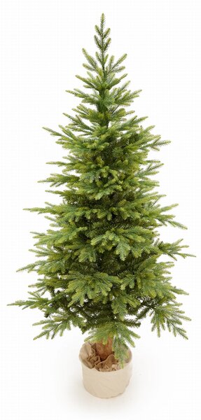Smrek Bavorský na pni 3D- 190cm