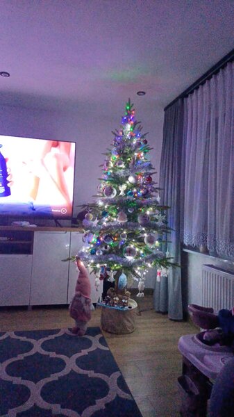 Smrek Bavorský na pni 3D- 190cm